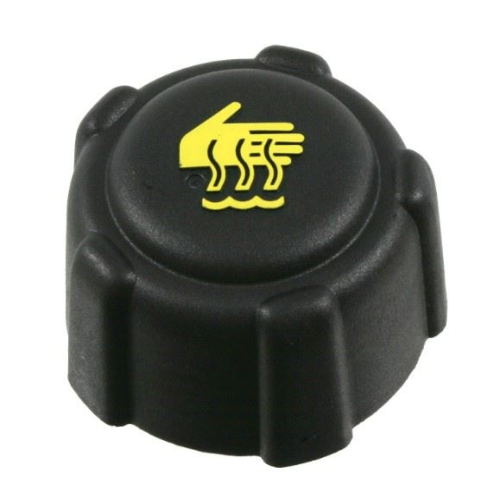 CLIO KANGOO MEGANE RADYATÖR YEDEK SU DEPO KAPAĞI YM SARI Ürün Görseli